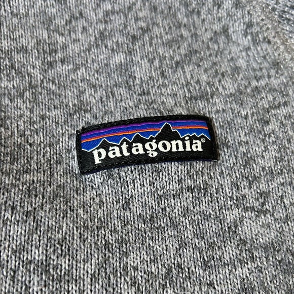 Patagonia Heathered Gray Fleece Pullover - Picture 2 of 10